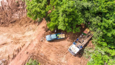 CDP has warned that investors will increasingly begin asking for forestry information, leaving companies with weak disclosure records in this space at a disadvantage